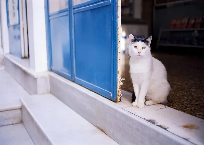 Βίλα Luxury Paros 2 Bedrooms Royalty Beautiful Sea Views